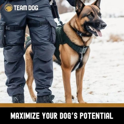 Team Dog Raw Frozen Dog Food | 65% Beef Muscle, Organ Meats, Herring & Green Tripe for Dogs | All Natural Grain Free Dog Food for Optimal Health, Digestion & Coat | 16 x 1lb Rolls