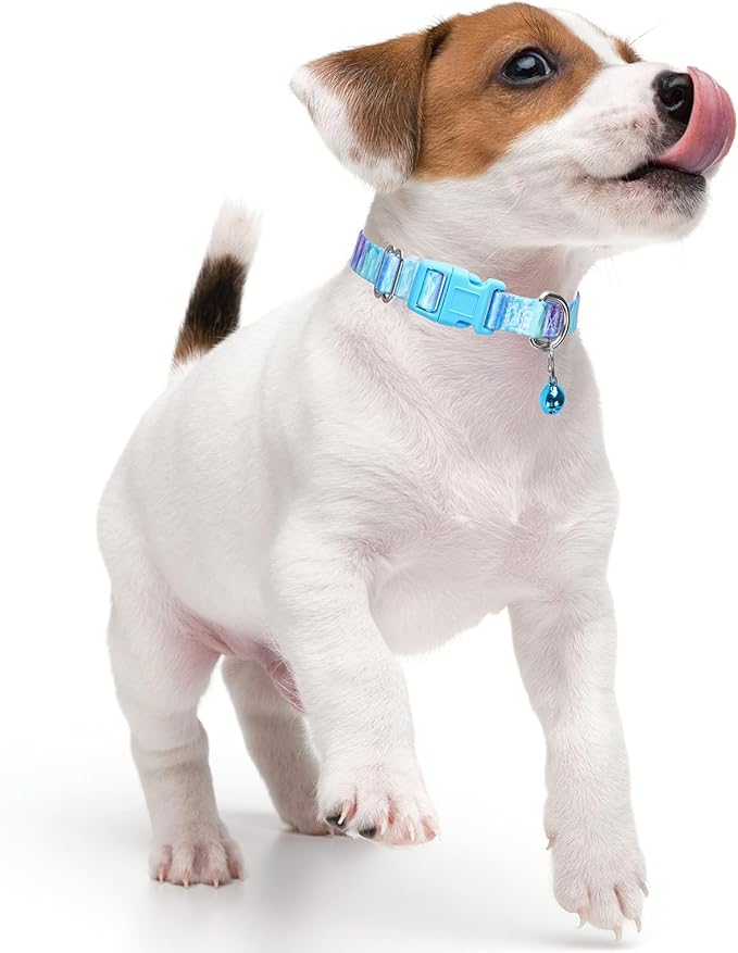 Small Dog Collar with Bell, Pretty Cool Boy Cat Collar Tiny Puppy Collars with Bells for Xs Small Pet Male Dogs Kitten Little Animal, Bule Small