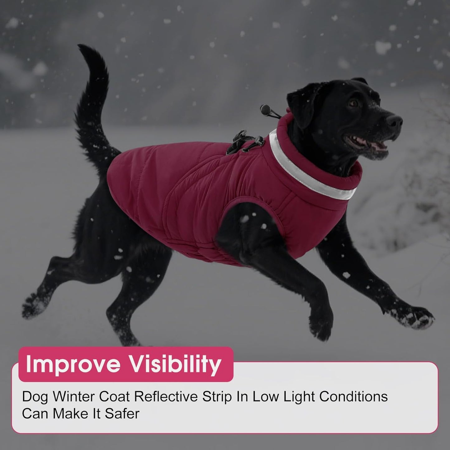 SAWMONG Dog Coat, Warm Dog Winter Coat, Waterproof Fleece Jacket, Cold Weather Dogs Jacket (S,Rosered)