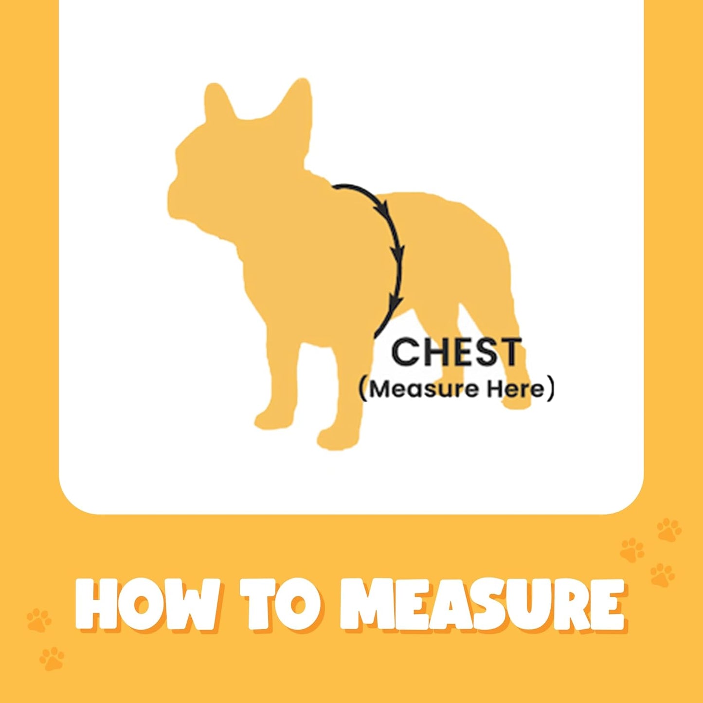 Bark Appeal Purple No-Pull Dog Harness for Small to Medium Sized Pets – Adjustable, Reflective Vest with 3 Leash Clips for Added Control, Easy Walks & Training – Medium