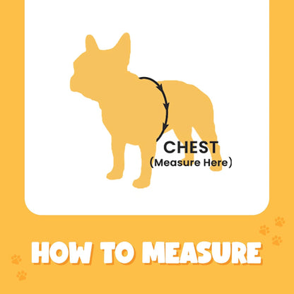 Bark Appeal Blue Hibiscus No-Pull Dog Harness for XS to Small Sized Pets – Adjustable, Reflective Vest with 3 Leash Clips for Added Control, Easy Walks & Training – Small