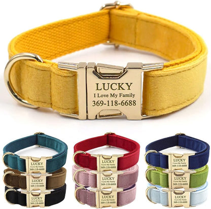 PETDURO Personalized Dog Collar Ginger Soft Velvet for Large Medium Small Boy Girl Dogs - Custom Collar with Name Phone Number Engraved on Gold Metal Buckle - Add Leash Bow Set via Customize Now