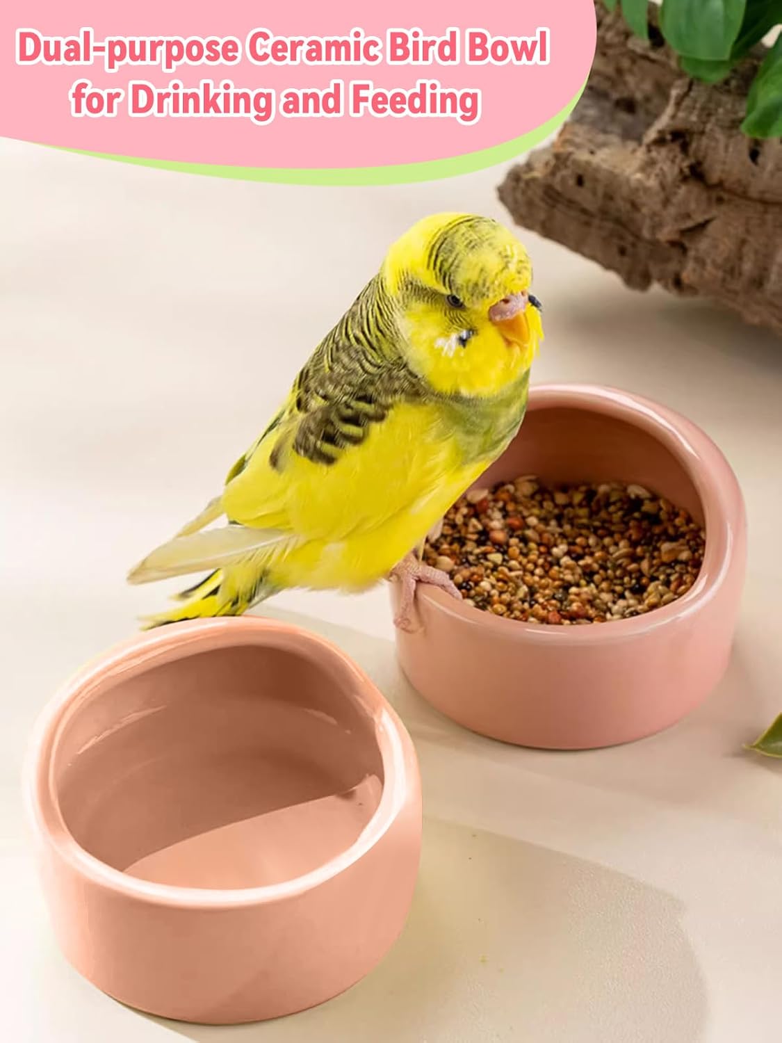 2 Pcs Bird Food Bowl Small Ceramic Bowls for Birds Parakeet Food Bowl Parrot Feeding Cups, Bird Cage Feeder with 2 Plastic Feeding Clips for Parakeets Conure Cockatiels Lovebird Budgie (Pink)