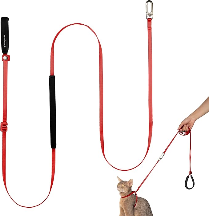 Ultra Lightweight Cat Leash Adjustable with Padded Handle, Soft Thin Nylon Cat Walking Training Waist Crossbody Leash for Kitten>4lbs Small Medium Large Cats Puppy, No Harness (Vivid Red)