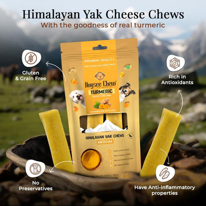 Dogsee Himalayan Yak Cheese Dog Chews with Turmeric/Curcumin (Medium - 2 Chews) | All Natural Long Lasting | Anti-inflammatory | Odorless High Protein Chew | Dog Treats for Active Chewers