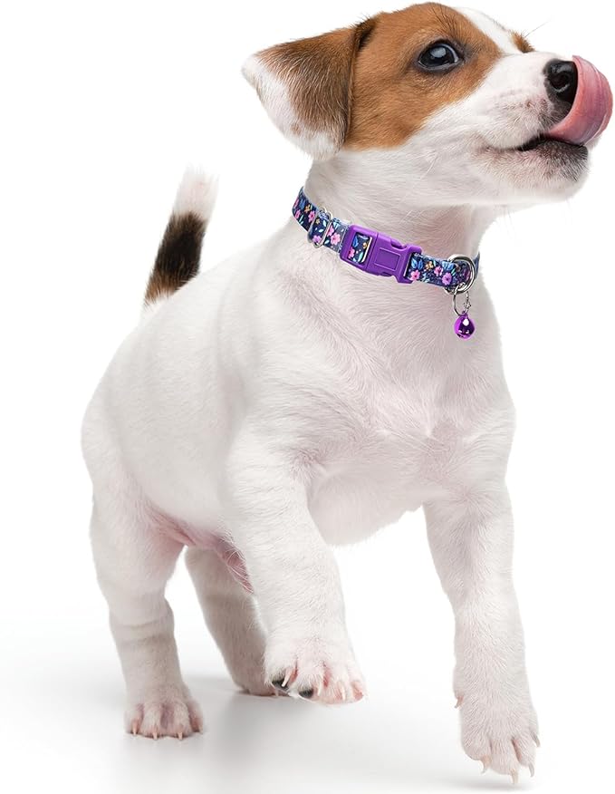 Purple Floral Small Dog Collar with Bell, Pretty Cute Flower Cat Collar Girl Puppy Collars with Bells for XS Small Tiny Pet Female Dogs Kitten Little Animal, S