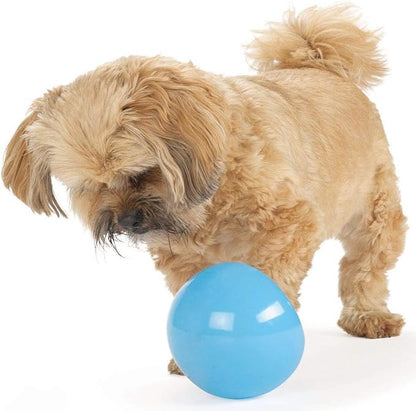 Outward Hound Large Snoop Interactive Treat Dispensing Dog Toy, Puzzle Ball Slow Feeder for Medium to Large Dogs, Mint-Scented for Mental Stimulation & Boredom Relief, BPA-Free, 5-Inch, Blue
