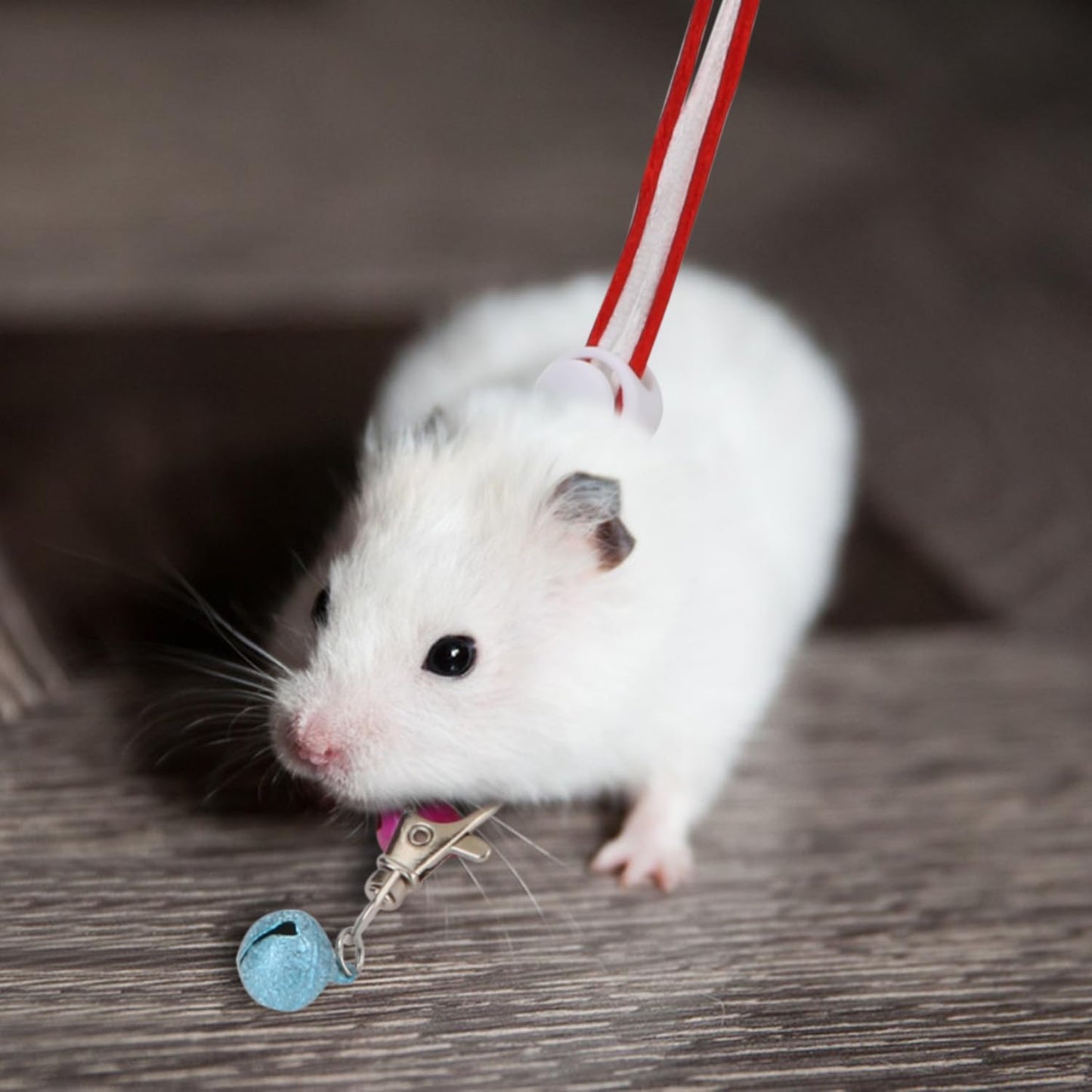 Hypeety 1PC Pet Rat Mouse Lead Leash Harness Adjustable Hamster Rat Mouse Adjustable Rope Safety Portable Design with an Extra Bell Random Color (Rope 55.12")