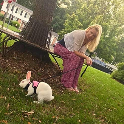 PETTOM Bunny Rabbit Guinea Pig Harness Stretchy Elastic Leash Cute Soft Mesh Small Pet Harness No Pull Comfort Outdoor Walking Jogging Padded Vest for Ferret Guinea Pig (Pink,L)