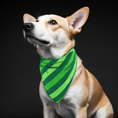 Valentine's & St. Patrick's Day Dog Bandana Set 2PCS-Large, Holiday Party Costumes, Pet Scarves for Boys and Girls, Dog Outfit Gifts for Medium to Large Dogs, Diverse Festive Styles