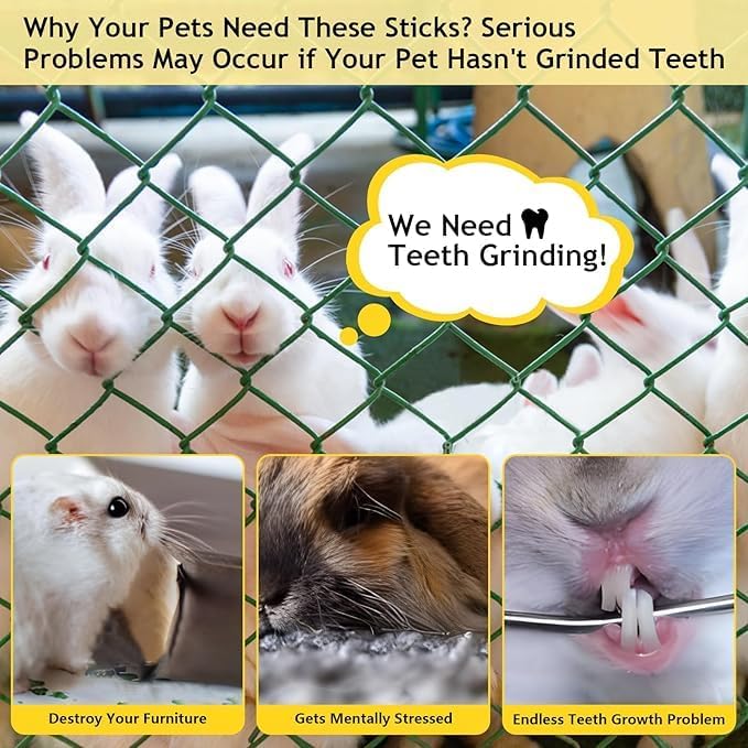 1000g Organic Apple Sticks Small Animals Molar Wood Treats Toys for Chinchillas Guinea Pig Rabbits Hamster Gerbil Parrot Bunny Chew Stick Toys, 35.3 OZ