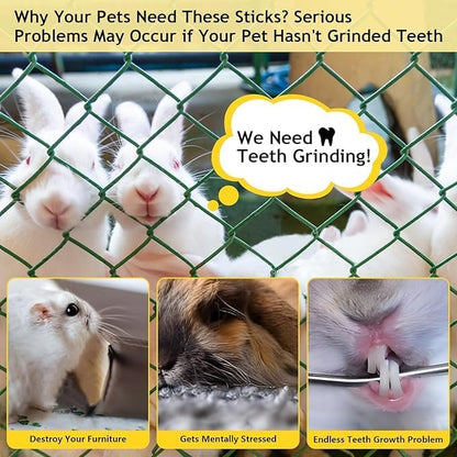 1000g Organic Apple Sticks Small Animals Molar Wood Treats Toys for Chinchillas Guinea Pig Rabbits Hamster Gerbil Parrot Bunny Chew Stick Toys, 35.3 OZ