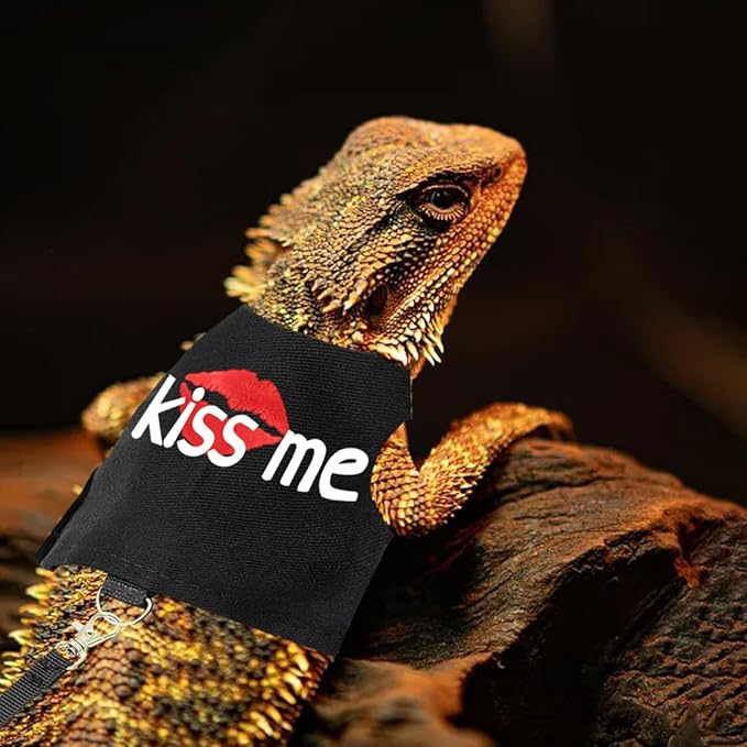 Bearded Dragon Harness and Leash with Glow in The Dark Letter, Luminous Lizard Reptiles Harness with 4.75 ft Leash for Amphibians Chameleons Outdoor Walking (Black)