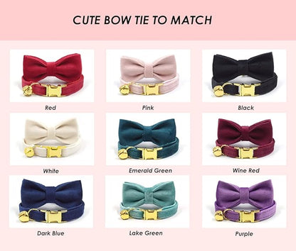 Personalized Cat Collar with Engraved Name and Phone Number - Customizable Kitten Collars for Boys and Girls (Velvet)