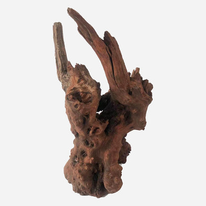 LYPHARD AQUARIUMS Natural Driftwood for Aquarium Decor, L12.2×W9.06×H14.96 Inches Large Drift Wood Decorations for Reptile Hide, Fish Tank, Optional Shapes