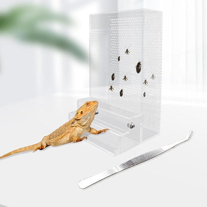 Bearded Dragon Feeder, Chameleon Bug Bowl Kit with Steps, Transparent Acrylic Reptile Large Insect Box, Tank & Aquarium Accessories for Reptile Lizard Gecko Frog - 8.2 × 4.3 × 4.7 Inch