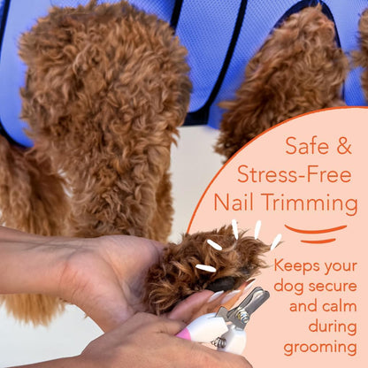 Haminway Pet Grooming Hammock – Large Dog Grooming Sling for Nail Trimming, Bathing & Ear/Eye Care – Blue