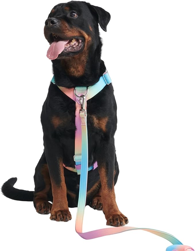 Spark Paws No Pull Dog Harness for Large Dogs, Heavy Duty Dog Harness for Big Strong Breeds, Adjustable, Y Shaped Padded Halter Design with Front Clip - Pastel Icing - L