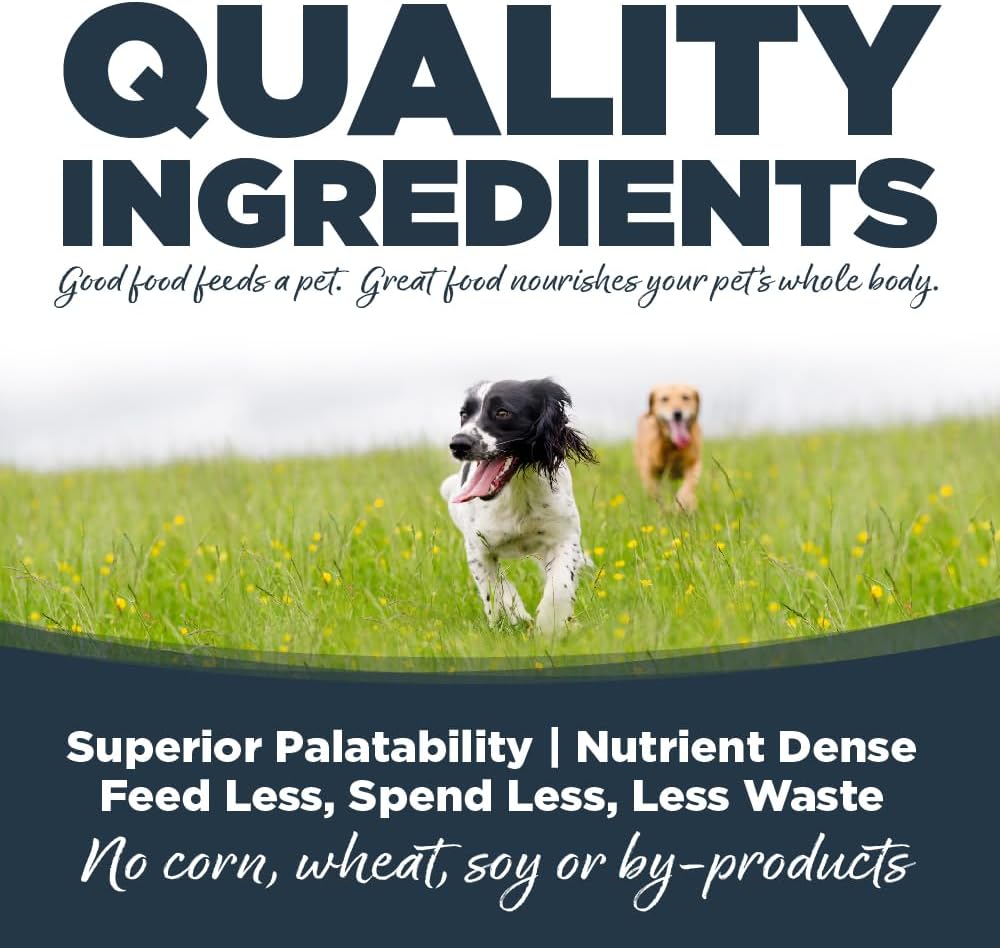 NutriSource Harvest Selects Northern Feast Dog Cans, Premium Wet Dog Food, 12.3 Ounce (Pack of 12)