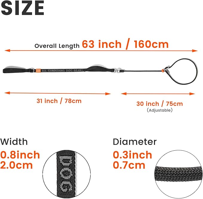 Slip Lead Dog Leash with Double Handles | Reflective Dog Training Leash with 360° Swivel Anti-Tangle | Heavy-Duty Leash and Collar for Large Medium and Small Dogs No-Pull Walking (Mint Green, 5.5FT)