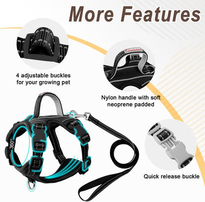 Cat Harness and Leash Set for Walking Escape Proof for Small Large cat Kitten Harness with ID tag Pocket (Black,XXS)