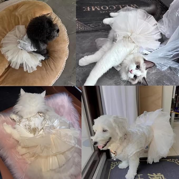 ANIAC Embroidered Dog Dress for Small Dog,Girl Puppy Princess Tutu Dress with Leash Ring,Cat Apparel,Chihuahua Yorkie Clothes for Birthday Wedding (Small, Champagne)