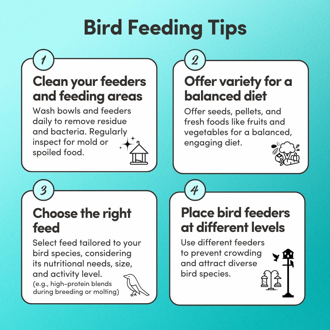 Mycelium Pet Bird Harvest Blend Bird Seed | Organic Food for Cockatiels, Lovebirds & Conures | Fruits, Vegetables, Egg, Vitamins & Minerals | Supports Feather & Digestive Health | 5 lb Bag