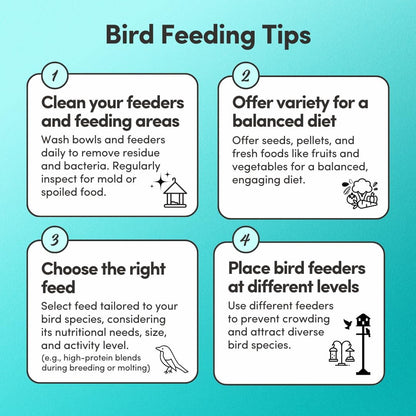 Mycelium Pet Bird Harvest Blend Bird Seed | Organic Food for Cockatiels, Lovebirds & Conures | Fruits, Vegetables, Egg, Vitamins & Minerals | Supports Feather & Digestive Health | 5 lb Bag