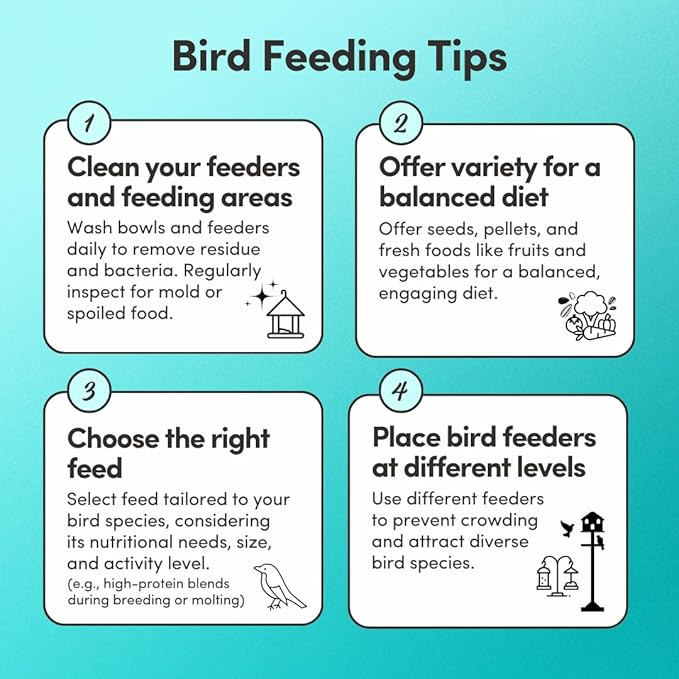 Mycelium Pet Bird Superfood | Organic, Non-GMO Bird Food for Cockatiels, Parakeets, Conures, and Lovebirds | High-Nutrition Blend with Vitamins, Whole Eggs, Safflower, and Whole Hemp Seed, 5 lbs