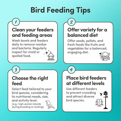 Mycelium Pet Bird Superfood | Organic, Non-GMO Bird Food for Cockatiels, Parakeets, Conures, and Lovebirds | High-Nutrition Blend with Vitamins, Whole Eggs, Safflower, and Whole Hemp Seed, 5 lbs