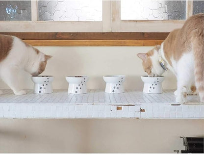 Necoichi Raised Cat Food Bowl – Ceramic Elevated Cat Bowl for Whisker & Neck Fatigue, Dishwasher Microwave Safe – Non-Slip & Anti Vomiting Ergonomic Design (Cats, Regular)