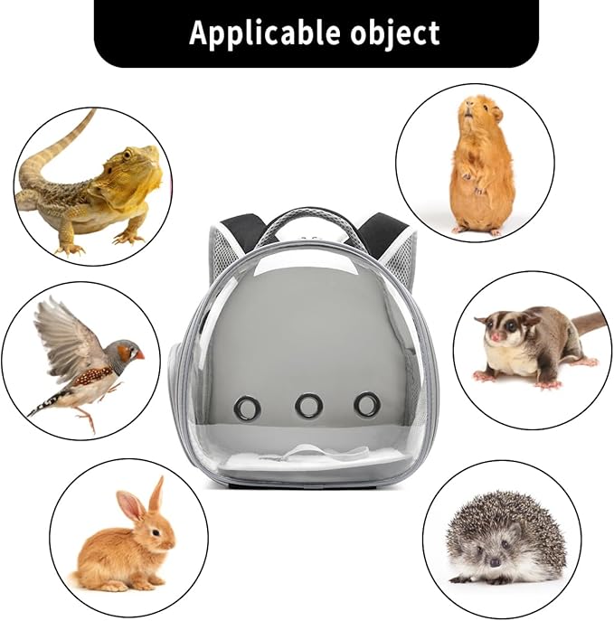 Bearded Dragon Lizard Backpack Carrier with Harness and Leash Set, Small Animal Carrier Backpack, Space Capsule Bubble Window, Small Pet Carrier Backpack, Airline Approved (Black)