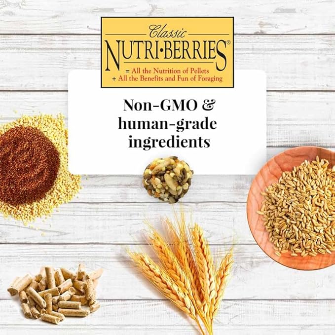 LAFEBER'S Classic Nutri-Berries Pet Bird Food, Made with Non-GMO and Human-Grade Ingredients, for Cockatiels (10 oz Pack of 2)