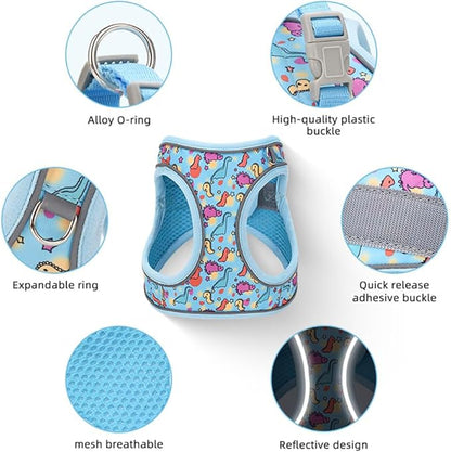 Step in Dog Harness and Leash Set, Flower Adjustable Easy Walk Puppy Harnesses, Soft Mesh Pet Vest Harness Small Size Dog Adjustable No Pull Dog Harness for Small Dogs and Cats(Dinosaur, XS)