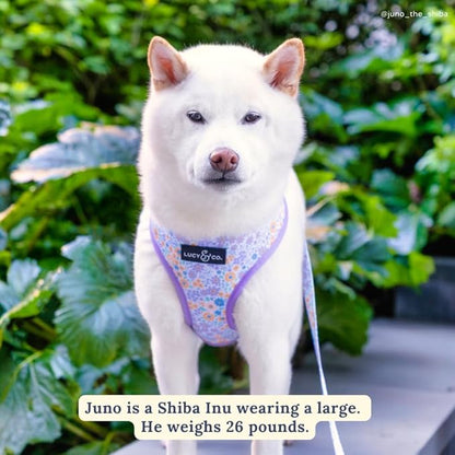 Lucy & Co. Cute Reversible Dog Harness Walking Halter - Best Designer Pet Harnesses for XS - XL Dogs - Padded Adjustable Vest for Easy Walking (X-Small, Among The Wildflowers - Purple Floral)