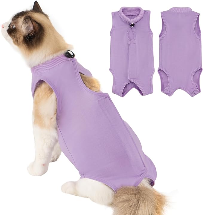 Avont Cat Recovery Suit Post-Surgery Onesie, Breathable Cone-of-Shame Alternative Bodysuit for Spayed Female Kittens, Skin Abdonminal Wound Care -Purple(M)