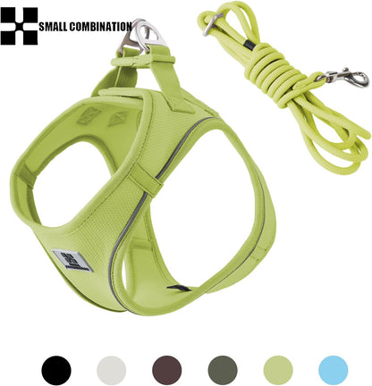 Adjustable Dog Harness with Leash, Reflective Mesh, No-Pull Design，Matching Lead Rope (Lemon Yellow, XXXS)