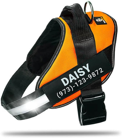 Personalized No-Pull Dog Harness with Name Patch, Adjustable, Reflective, Padded, Heavy Duty Pet Vest to Prevent Tugging, Pulling, or Choking, Training and Walking, Orange, 2XL