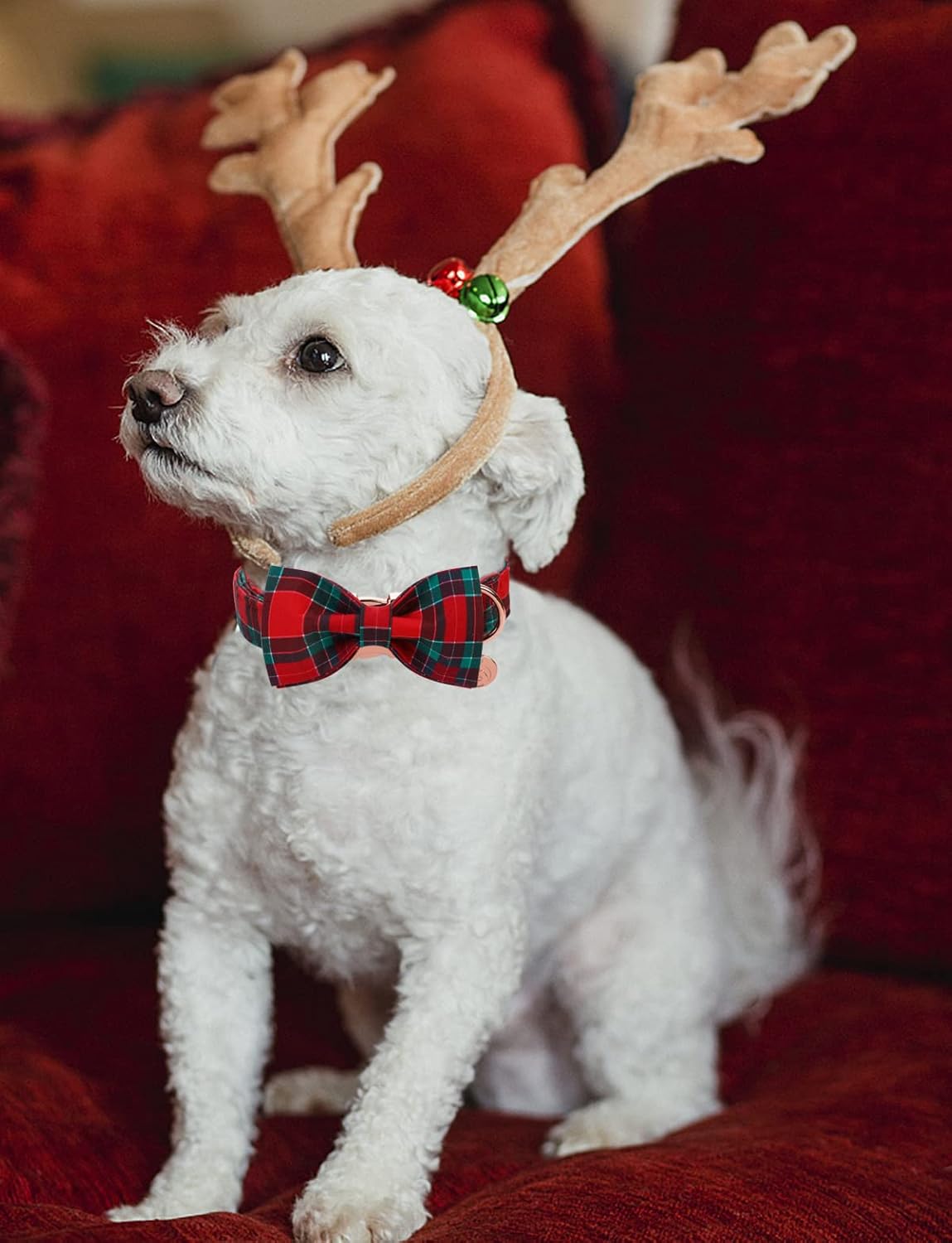 DOGWONG Christmas Dog Collar with Bow tie, Red Plaid Dog Collar Soft Durable Adjustable Cotton Red Green Tartan Puppy Collar for Small Medium Large Dog