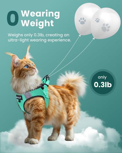 FAYOGOO Escape Proof Cat Harness and Leash Set for Walking, Secure-Fit Step-in Cat Vest Harness, Soft & Lightweight for Kittens and Large Cats