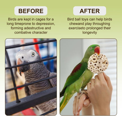 7Pcs Bird Toy Large Chewing Balls - Natural Soft Chew Shredding & Foraging Toy for Cockatiel Conure Quaker Parrot Budgie Parakeet Rabbit Bunny Guinea Pig Chinchilla