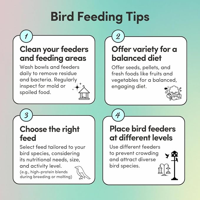 Mycelium Organic Lovebird Premier Feed (5 LBS) | Premium Bird Food for Lovebirds & Small Parrots | High-Protein, Vitamin-Fortified Daily Nutrition | Supports Brain & Heart Health | USA Made, Non-GMO