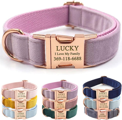 PETDURO Custom Dog Collar Personalized with Name Engraved Quick Release Rose Gold Metal Buckle for Large Medium Small Girl Dogs - Dog Leash and Bow Tie Available - Soft Comfy Velvet (Purple, L)