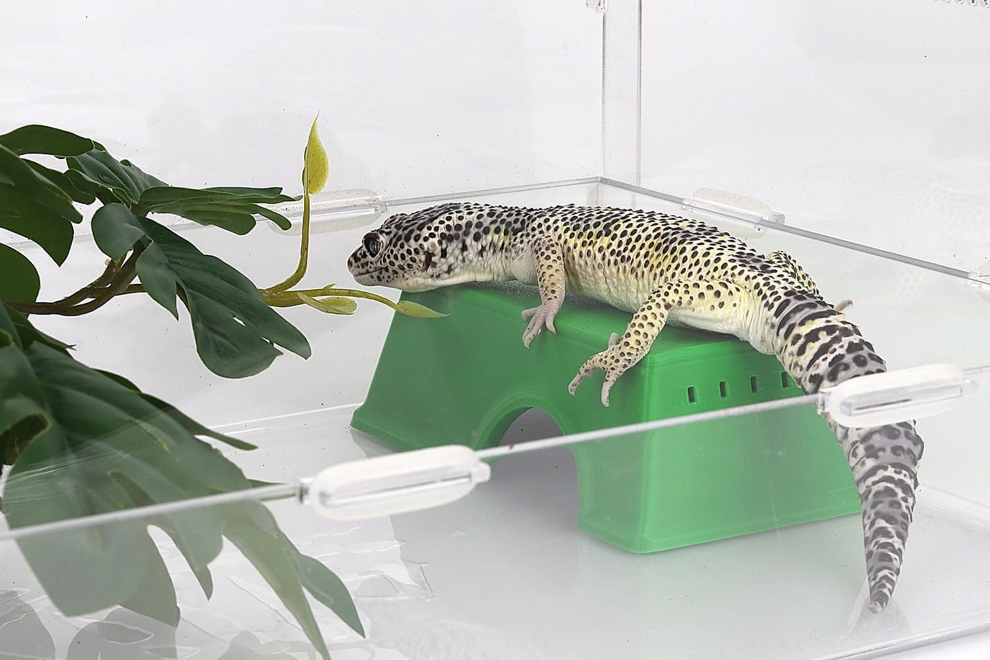 Snake Hide, Leopard Gecko Tank Accessories for Reptile Ball Python Crested Gecko Lizard Bearded Dragon - GreenHideS