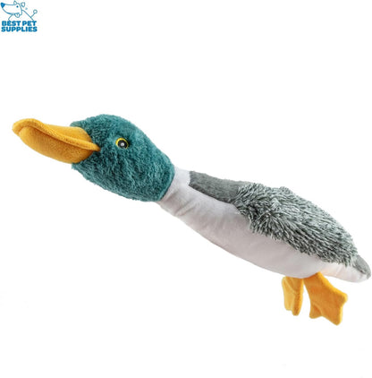 Best Pet Supplies Interactive Squeaky Dog Chew Toy, Ideal Dog Toys for Chewers, Small, Medium & Large Dogs, and Fetch Lovers - Duck (Mystery Box), Large