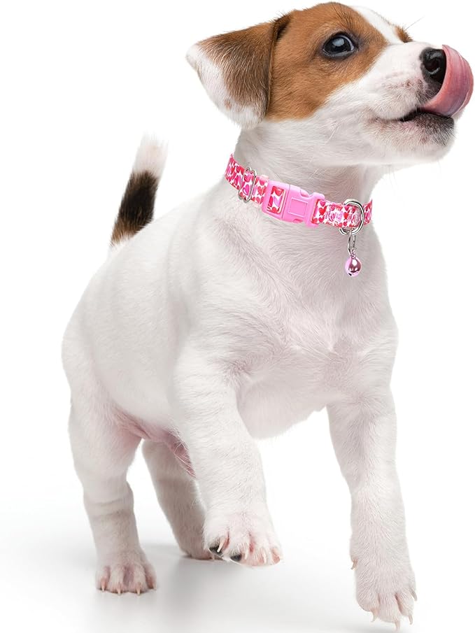 Small Dog Collar for Dogs,Puppy Collars with Bells Pretty Flower Dog Collar for XS Small Tiny Pet Female Dogs S
