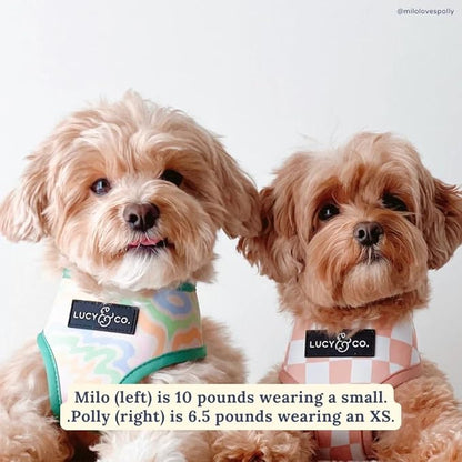 Lucy & Co. Cute Reversible Dog Harness Walking Halter - Best Designer Pet Harnesses for XS - XL Dogs - Padded Adjustable Vest for Easy Walking. (Just Chill Reversible Harness).