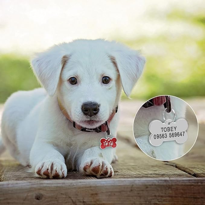 Personalized Dog Cute Paw Pet ID Tag for Pet Collar or Key Chain - cat Name tag, Personalized cat id tag, Kitten Name tag, Kitten id tag (Bone-Shaped-Small: Light Gold)