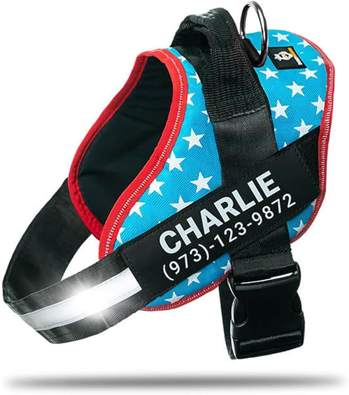 Personalized No-Pull Dog Harness with Name Patch, Adjustable, Reflective, Padded, Heavy Duty Pet Vest to Prevent Tugging, Pulling, or Choking, Training and Walking, Light Blue, M