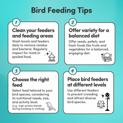 Mycelium Dove Premier Wild Bird Seed (5 LB Bag) | Organic, High-Protein Bird Food for Doves, Pigeons & Ground-Feeding Birds | Supports Brain & Heart Health | Non-GMO, USA Made, Filler Free